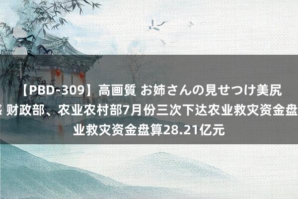 【PBD-309】高画質 お姉さんの見せつけ美尻＆美脚の誘惑 财政部、农业农村部7月份三次下达农业救灾资金盘算28.21亿元