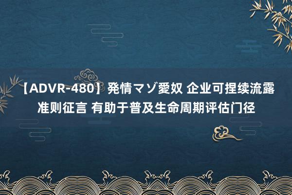 【ADVR-480】発情マゾ愛奴 企业可捏续流露准则征言 有助于普及生命周期评估门径