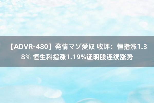 【ADVR-480】発情マゾ愛奴 收评：恒指涨1.38% 恒生科指涨1.19%证明股连续涨势