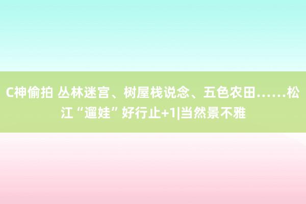 C神偷拍 丛林迷宫、树屋栈说念、五色农田……松江“遛娃”好行止+1|当然景不雅